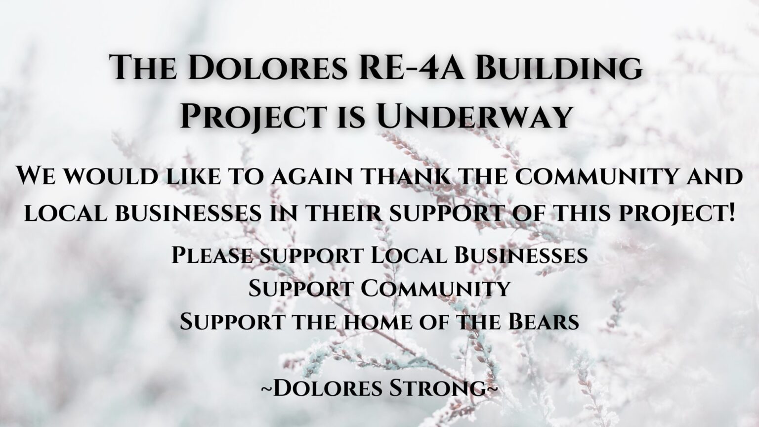 Dolores Building Project January 2025- Thank you! – Dolores School District